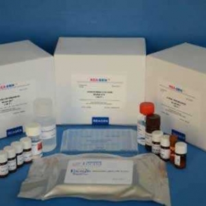 נؙzyԇעԼg(sh)ָ(do)ԭt