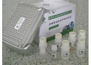 Aͪzy(c)ԇע(c)g(sh)ָ(do)ԭt