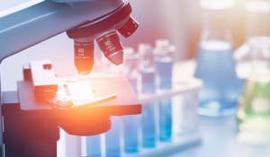 2023ȫ(gu)t(y)еȫܻ(dng)