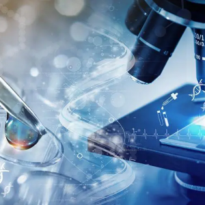 ˎO(jin)(zhn)277(g)(chung)t(y)е